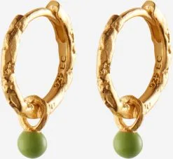 Oorringen Oorbellen Belle Dames Goud